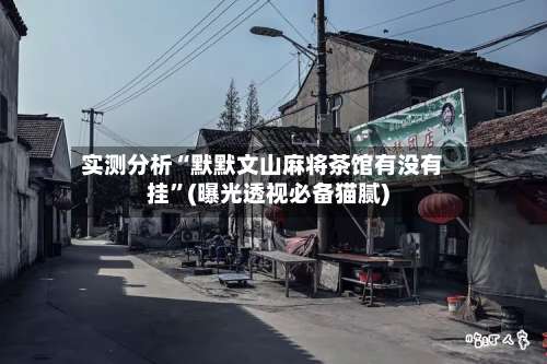 实测分析“默默文山麻将茶馆有没有挂	”(曝光透视必备猫腻)-第1张图片