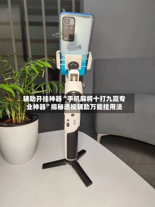 辅助开挂神器“手机麻将十打九赢专业神器	”揭秘透视辅助万能挂用法-第1张图片