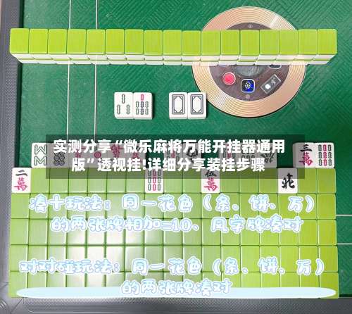 实测分享“微乐麻将万能开挂器通用版”透视挂!详细分享装挂步骤-第3张图片