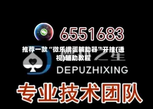 推荐一款“微乐掼蛋辅助器”开挂(透视)辅助教程-第3张图片