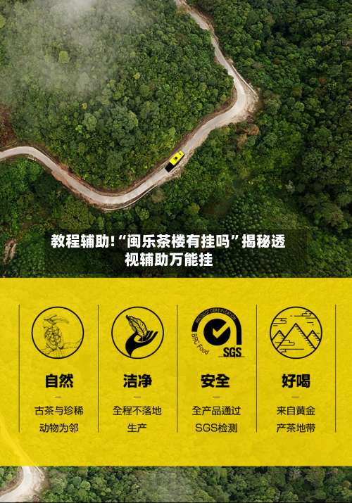 教程辅助!“闽乐茶楼有挂吗”揭秘透视辅助万能挂-第3张图片