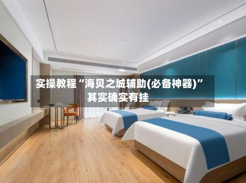 实操教程“海贝之城辅助(必备神器)”其实确实有挂-第2张图片