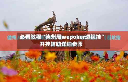 必看教程“德州局wepoker透视挂	”开挂辅助详细步骤-第1张图片
