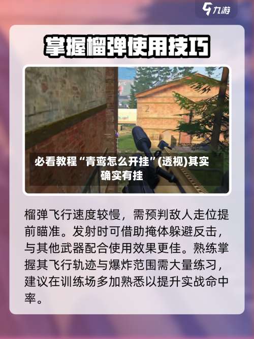 必看教程“青鸾怎么开挂	”(透视)其实确实有挂-第1张图片