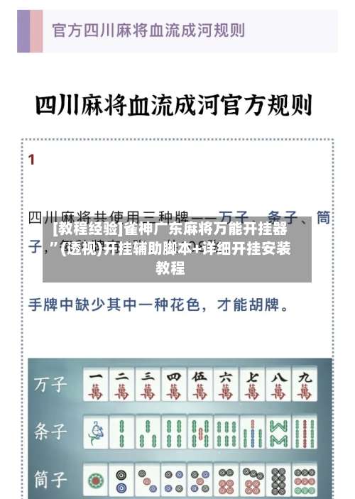 [教程经验]雀神广东麻将万能开挂器”(透视)开挂辅助脚本+详细开挂安装教程-第1张图片