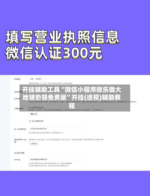 开挂辅助工具“微信小程序微乐锄大地辅助器免费版”开挂(透视)辅助教程-第3张图片