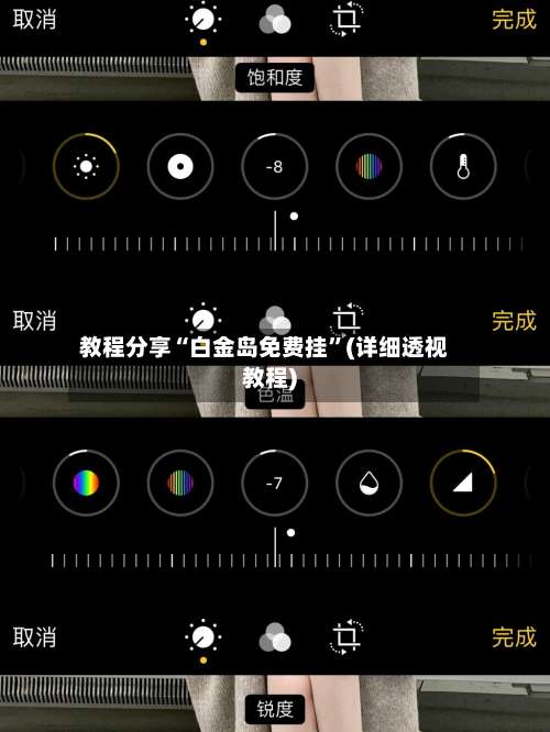 教程分享“白金岛免费挂”(详细透视教程)-第2张图片