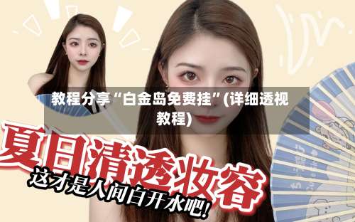 教程分享“白金岛免费挂”(详细透视教程)-第1张图片