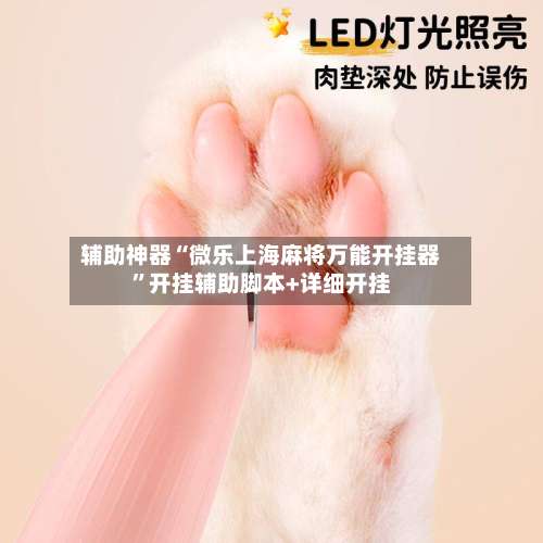 辅助神器“微乐上海麻将万能开挂器”开挂辅助脚本+详细开挂-第1张图片