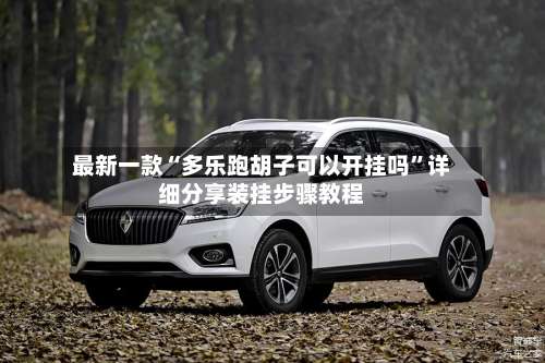 最新一款“多乐跑胡子可以开挂吗”详细分享装挂步骤教程-第2张图片