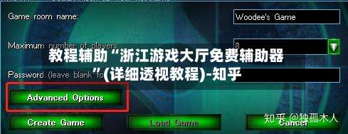 教程辅助“浙江游戏大厅免费辅助器	”(详细透视教程)-知乎-第2张图片