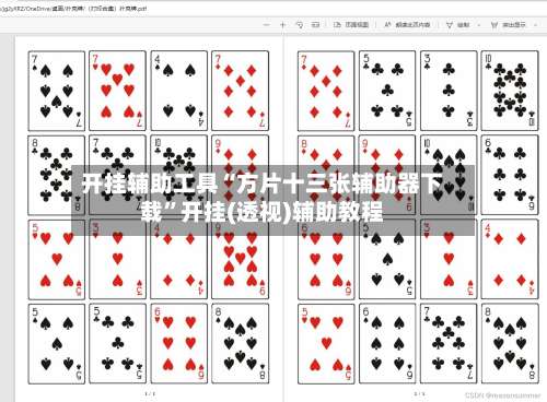 开挂辅助工具“方片十三张辅助器下载	”开挂(透视)辅助教程-第2张图片