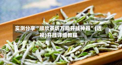 实测分享“顺欣茶坊万能开挂神器	”(透视)开挂详细教程-第1张图片