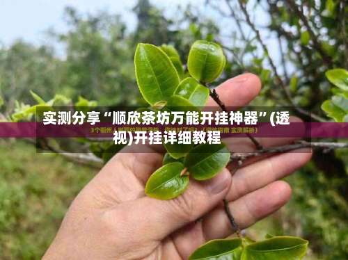 实测分享“顺欣茶坊万能开挂神器”(透视)开挂详细教程-第2张图片