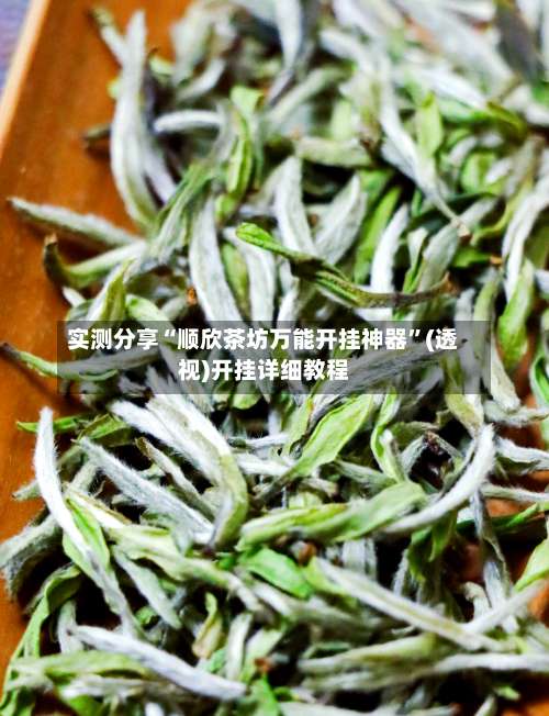 实测分享“顺欣茶坊万能开挂神器”(透视)开挂详细教程-第3张图片