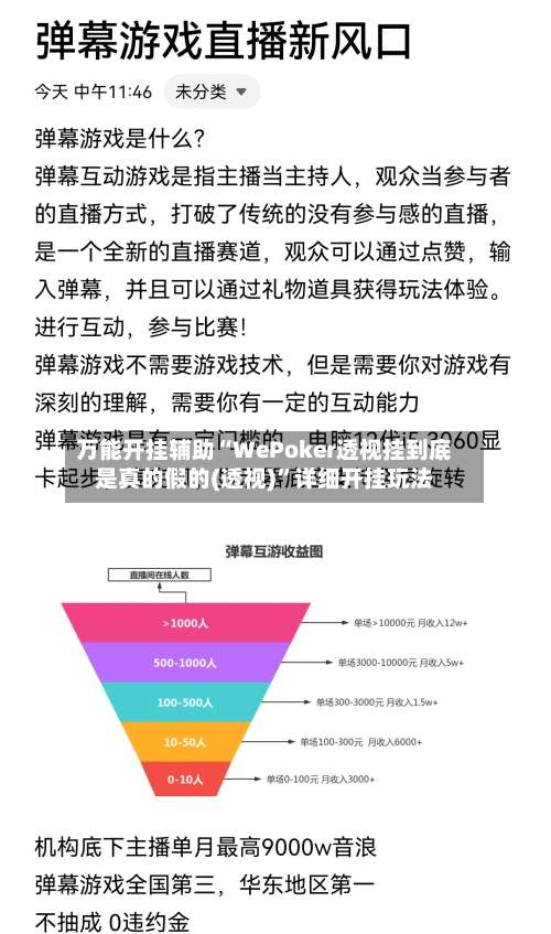 万能开挂辅助“WePoker透视挂到底是真的假的(透视)	”详细开挂玩法-第2张图片