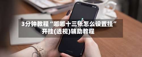 3分钟教程“嘟嘟十三张怎么设置挂”开挂(透视)辅助教程-第1张图片