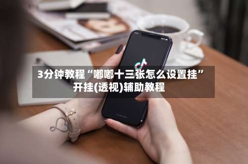 3分钟教程“嘟嘟十三张怎么设置挂	”开挂(透视)辅助教程-第2张图片