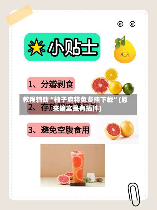 教程辅助“柚子麻将免费挂下载	”(原来确实是有插件)-第1张图片