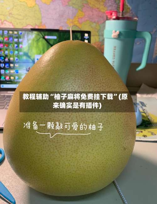 教程辅助“柚子麻将免费挂下载”(原来确实是有插件)-第3张图片