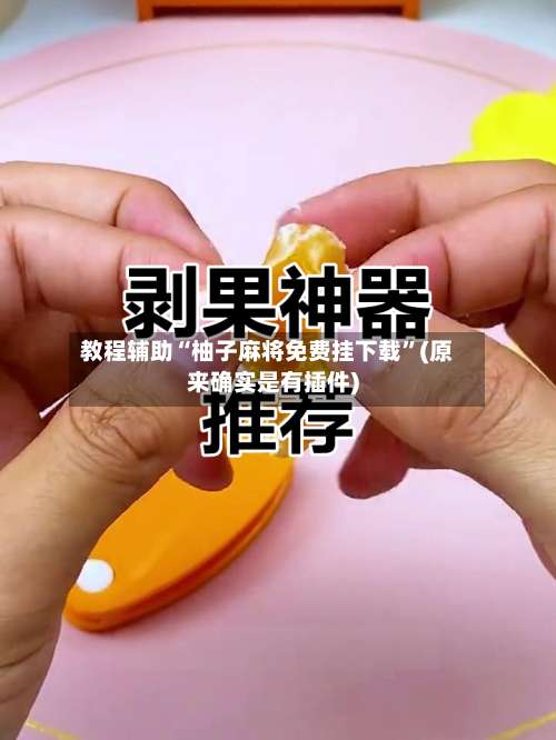 教程辅助“柚子麻将免费挂下载”(原来确实是有插件)-第2张图片