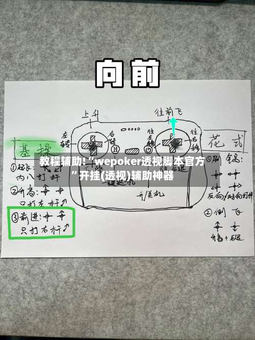 教程辅助!“wepoker透视脚本官方”开挂(透视)辅助神器-第1张图片