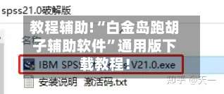 教程辅助!“白金岛跑胡子辅助软件”通用版下载教程！-第2张图片