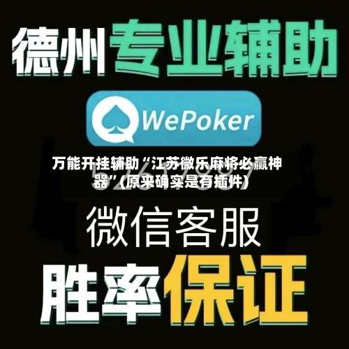 万能开挂辅助“江苏微乐麻将必赢神器”(原来确实是有插件)-第3张图片