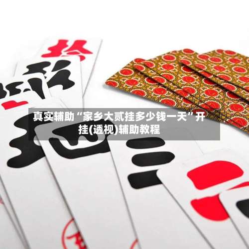 真实辅助“家乡大贰挂多少钱一天”开挂(透视)辅助教程-第1张图片