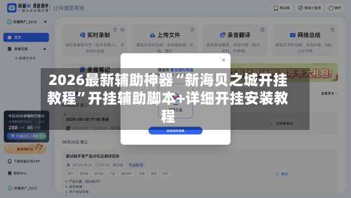 2026最新辅助神器“新海贝之城开挂教程”开挂辅助脚本+详细开挂安装教程-第1张图片