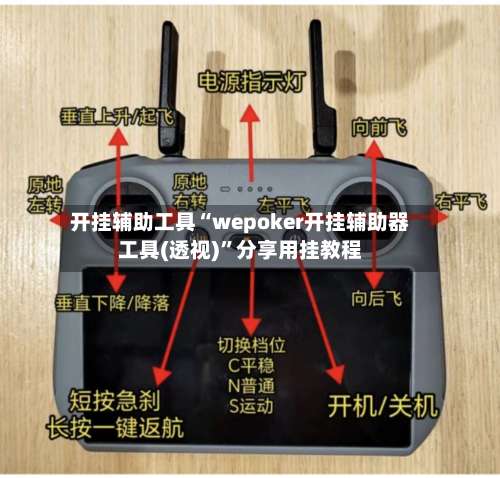 开挂辅助工具“wepoker开挂辅助器工具(透视)	”分享用挂教程-第1张图片