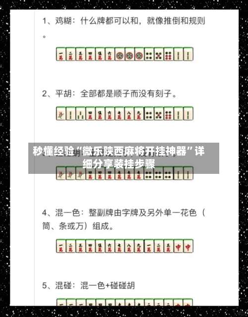 秒懂经验“微乐陕西麻将开挂神器”详细分享装挂步骤-第2张图片