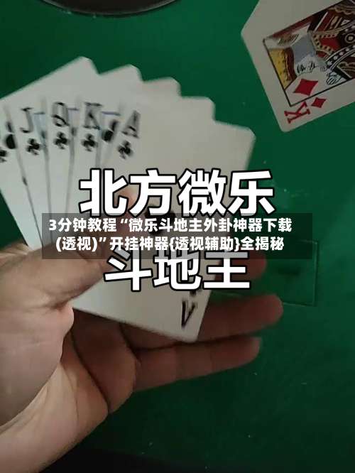 3分钟教程“微乐斗地主外卦神器下载(透视)	”开挂神器{透视辅助}全揭秘-第2张图片