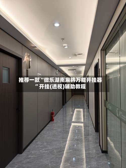 推荐一款“微乐湖南麻将万能开挂器”开挂(透视)辅助教程-第1张图片