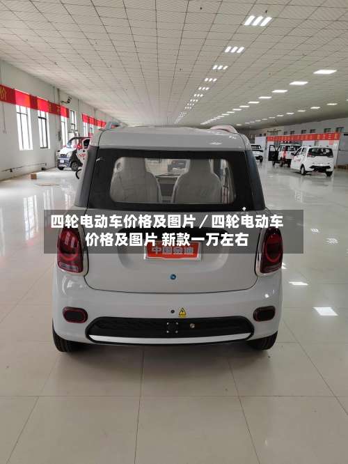 四轮电动车价格及图片/四轮电动车价格及图片 新款一万左右-第1张图片