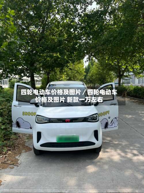 四轮电动车价格及图片/四轮电动车价格及图片 新款一万左右-第3张图片