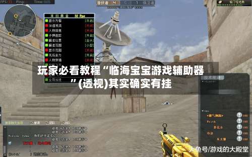 玩家必看教程“临海宝宝游戏辅助器”(透视)其实确实有挂-第2张图片