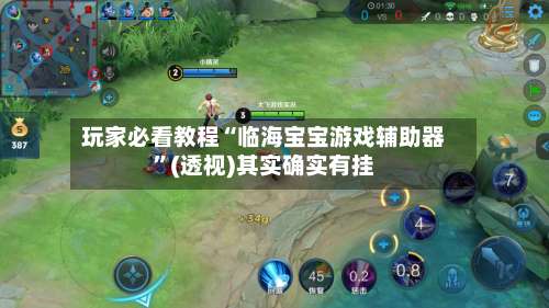 玩家必看教程“临海宝宝游戏辅助器”(透视)其实确实有挂-第3张图片