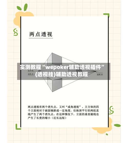 实测教程“wepoker辅助透视插件	”(透视挂)辅助透视教程-第1张图片