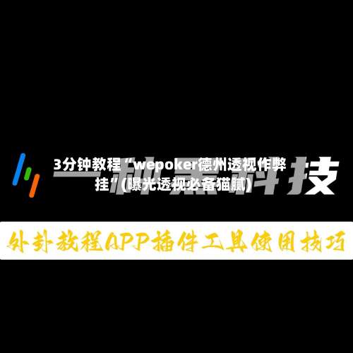 3分钟教程“wepoker德州透视作弊挂	”(曝光透视必备猫腻)-第3张图片