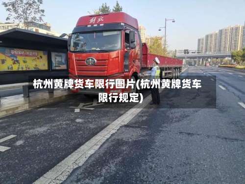 杭州黄牌货车限行图片(杭州黄牌货车限行规定)-第3张图片
