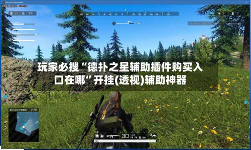 玩家必搜“德扑之星辅助插件购买入口在哪	”开挂(透视)辅助神器-第2张图片