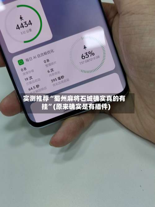 实测推荐“蜀州麻将石城确实真的有挂	”(原来确实是有插件)-第1张图片