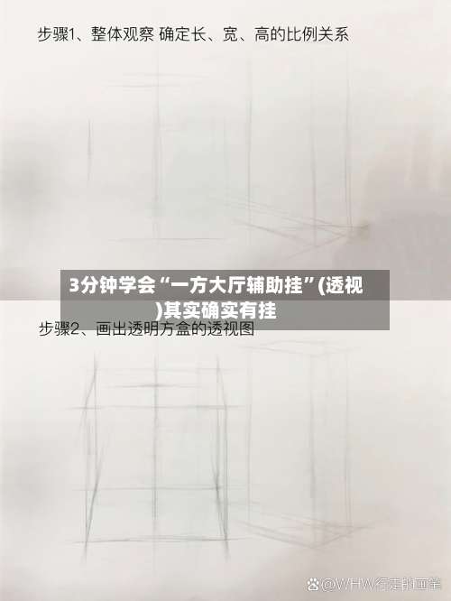 3分钟学会“一方大厅辅助挂”(透视)其实确实有挂-第1张图片