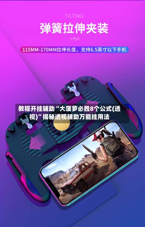 教程开挂辅助“大菠萝必胜8个公式(透视)”揭秘透视辅助万能挂用法-第1张图片