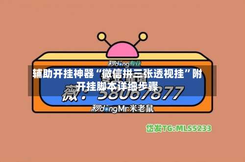 辅助开挂神器“微信拼三张透视挂	”附开挂脚本详细步骤-第2张图片