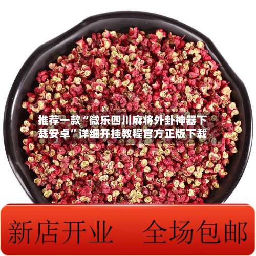 推荐一款“微乐四川麻将外卦神器下载安卓”详细开挂教程官方正版下载-第2张图片