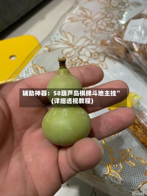 辅助神器：58葫芦岛棋牌斗地主挂”(详细透视教程)-第1张图片