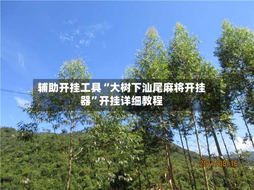 辅助开挂工具“大树下汕尾麻将开挂器	”开挂详细教程-第1张图片