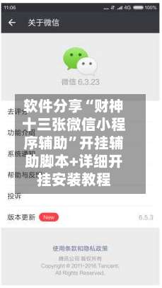 软件分享“财神十三张微信小程序辅助	”开挂辅助脚本+详细开挂安装教程-第2张图片
